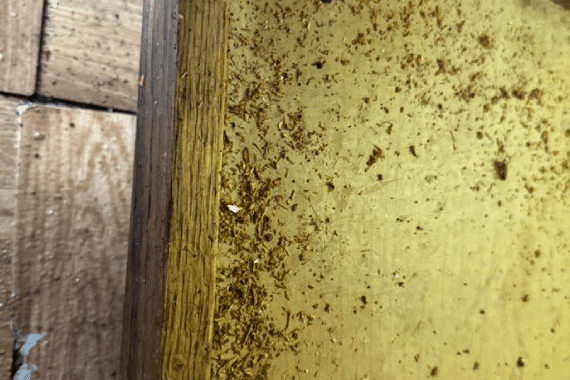 Bryo's Bug Buster